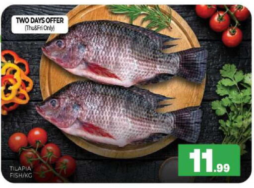 available at المدينة in الإمارات العربية المتحدة , الامارات - الشارقة / عجمان