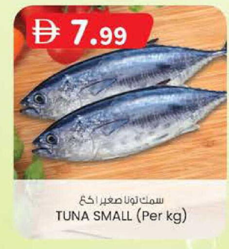 available at ك. الم. للتجارة in الإمارات العربية المتحدة , الامارات - الشارقة / عجمان