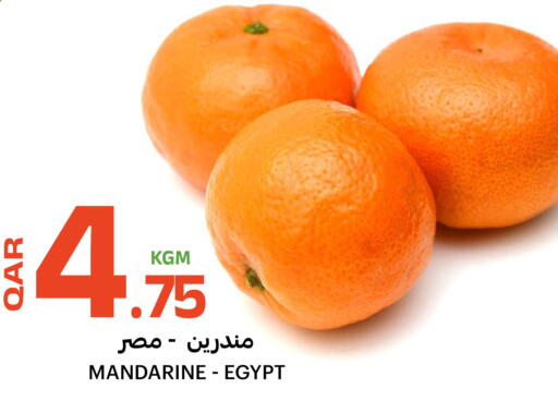 from Egypt available at Al Baladi Al Yawm in Qatar - Al-Shahaniya