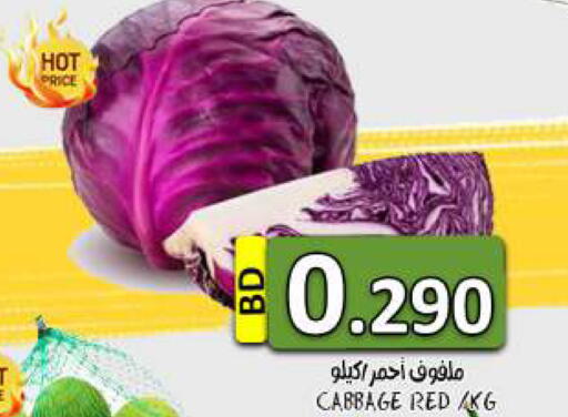 Cabbage available at مجموعة حسن محمود in البحرين