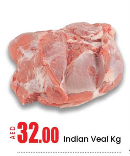 Mango available at مانجو هايبرماركت in الإمارات العربية المتحدة , الامارات - دبي