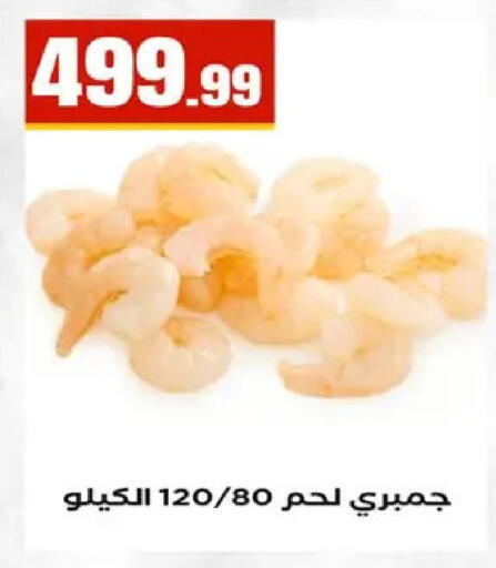 available at المحلاوي ستورز in Egypt - القاهرة