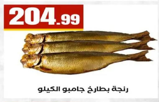 available at MartVille in Egypt - Cairo