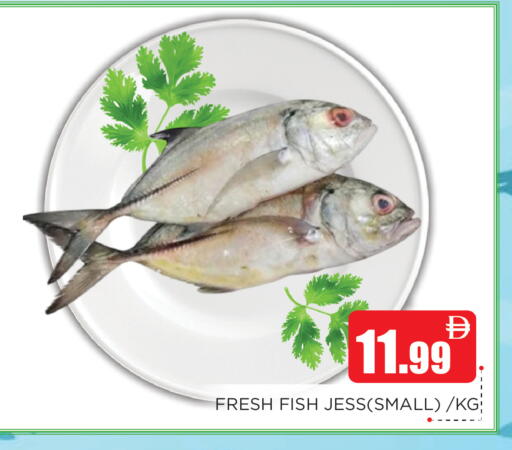 available at اينس المدينة هايبرماركت in الإمارات العربية المتحدة , الامارات - الشارقة / عجمان