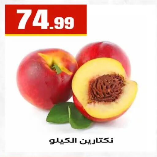 available at المحلاوي ستورز in Egypt - القاهرة