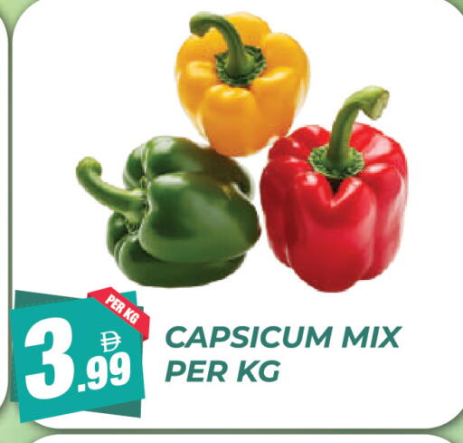 Capsicum available at Dream Land in UAE - Dubai