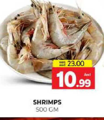 available at المدينة in الإمارات العربية المتحدة , الامارات - الشارقة / عجمان