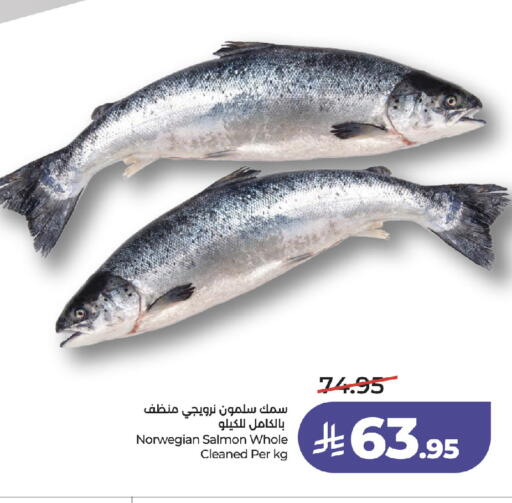 available at لولو هايبرماركت in مملكة العربية السعودية, السعودية, سعودية - جدة