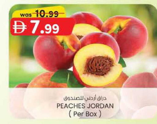 from Jordan available at ك. الم. للتجارة in الإمارات العربية المتحدة , الامارات - الشارقة / عجمان