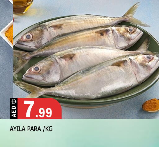 available at المدينة in الإمارات العربية المتحدة , الامارات - الشارقة / عجمان