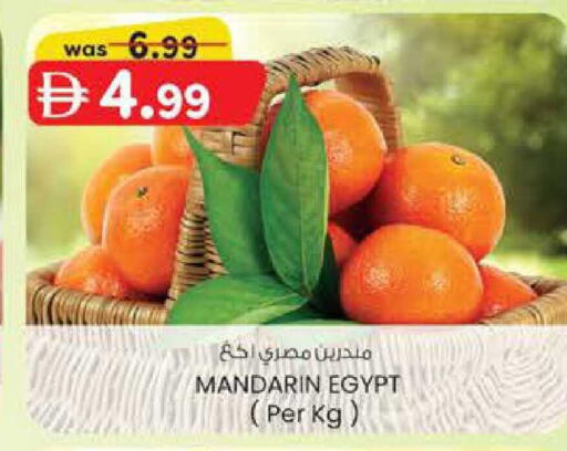 Mandarin from Egypt available at ك. الم. للتجارة in الإمارات العربية المتحدة , الامارات - دبي