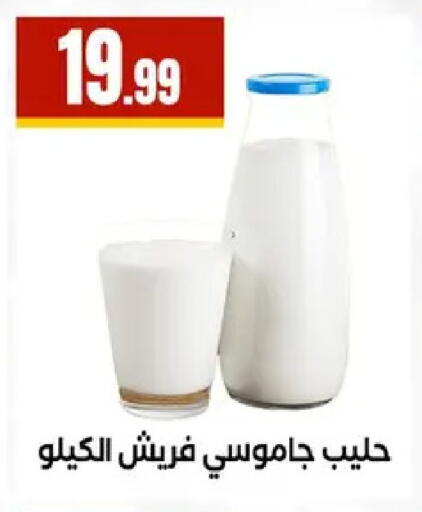 available at مارت فيل in Egypt - القاهرة