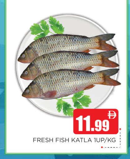 available at اينس المدينة هايبرماركت in الإمارات العربية المتحدة , الامارات - الشارقة / عجمان