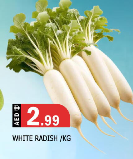 Radish available at المدينة in الإمارات العربية المتحدة , الامارات - الشارقة / عجمان