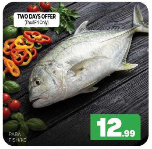 available at المدينة in الإمارات العربية المتحدة , الامارات - الشارقة / عجمان