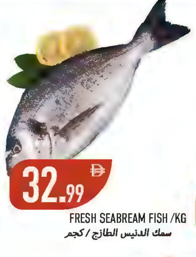 available at  روابي ماركت عجمان in الإمارات العربية المتحدة , الامارات - الشارقة / عجمان