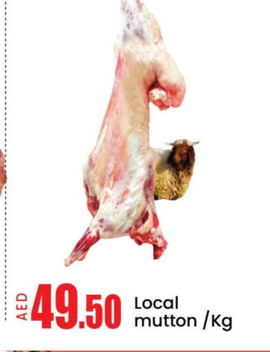 Mango available at مانجو هايبرماركت in الإمارات العربية المتحدة , الامارات - دبي