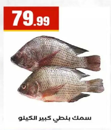 available at مارت فيل in Egypt - القاهرة