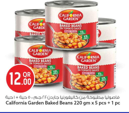 Tomato available at سفاري هايبر ماركت in قطر - الشحانية