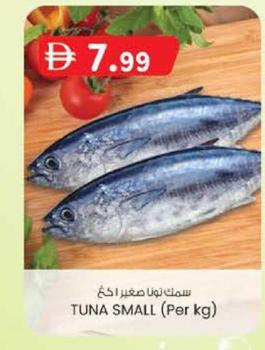 available at ك. الم. للتجارة in الإمارات العربية المتحدة , الامارات - أبو ظبي