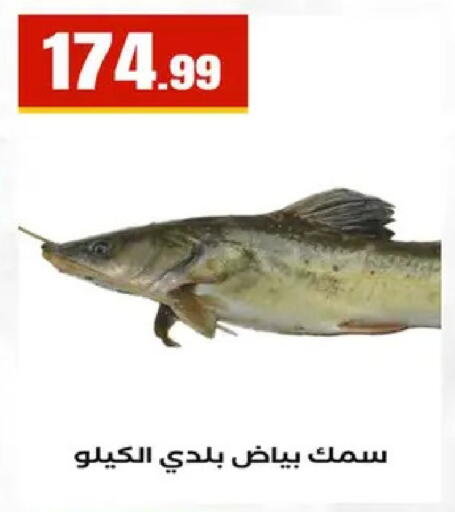 available at مارت فيل in Egypt - القاهرة