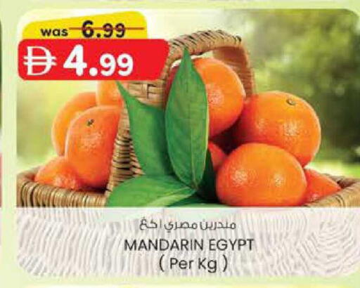 Mandarin from Egypt available at ك. الم. للتجارة in الإمارات العربية المتحدة , الامارات - ٱلْفُجَيْرَة‎