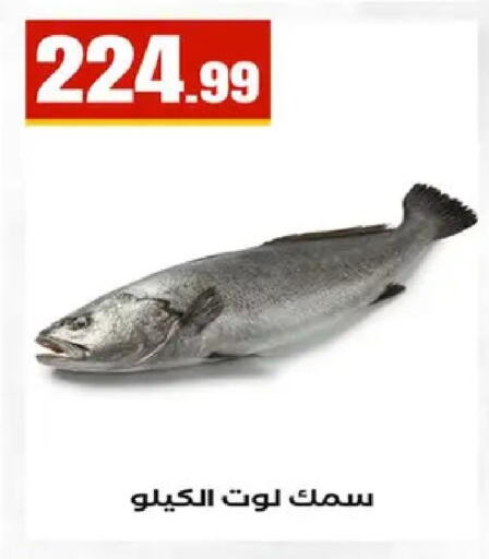 available at مارت فيل in Egypt - القاهرة