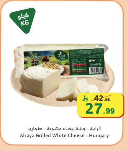 available at الراية in مملكة العربية السعودية, السعودية, سعودية - الطائف