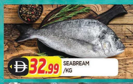 available at المدينة in الإمارات العربية المتحدة , الامارات - الشارقة / عجمان