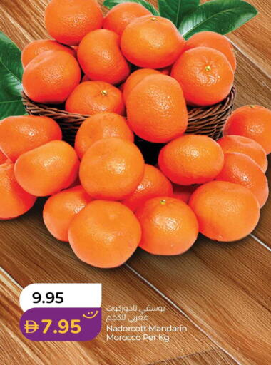 Mandarin from Morocco available at لولو هايبرماركت in الإمارات العربية المتحدة , الامارات - أبو ظبي