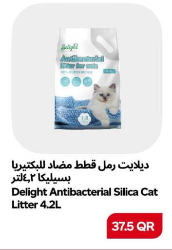 available at سنومارت in قطر - الشمال