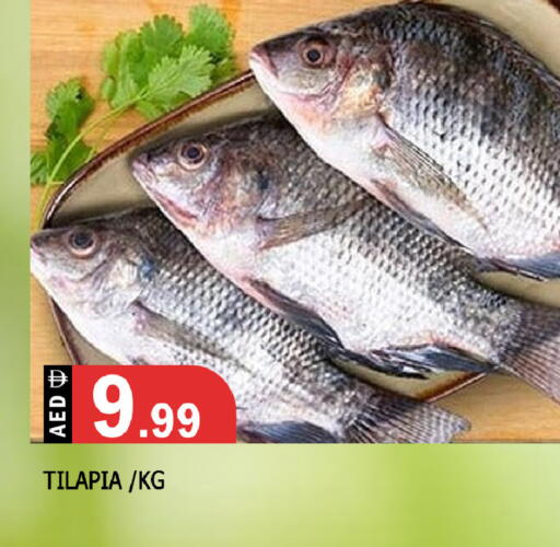 available at المدينة in الإمارات العربية المتحدة , الامارات - الشارقة / عجمان