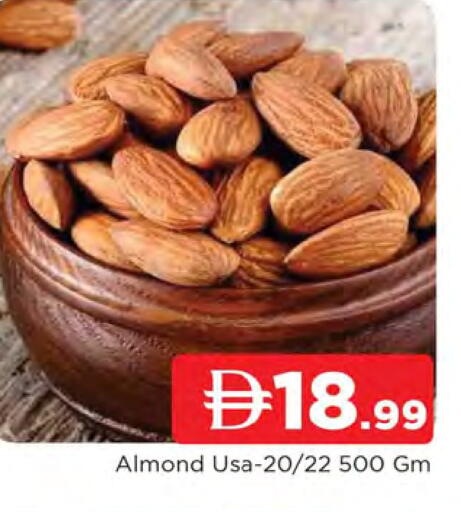 available at المدينة in الإمارات العربية المتحدة , الامارات - الشارقة / عجمان