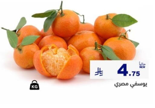 available at أسواق رامز in مملكة العربية السعودية, السعودية, سعودية - تبوك