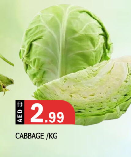 Cabbage available at المدينة in الإمارات العربية المتحدة , الامارات - الشارقة / عجمان