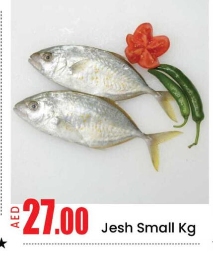 Mango available at مانجو هايبرماركت in الإمارات العربية المتحدة , الامارات - دبي