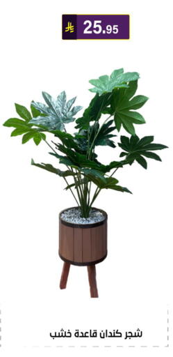 available at الحسين توب أب in مملكة العربية السعودية, السعودية, سعودية - الرياض