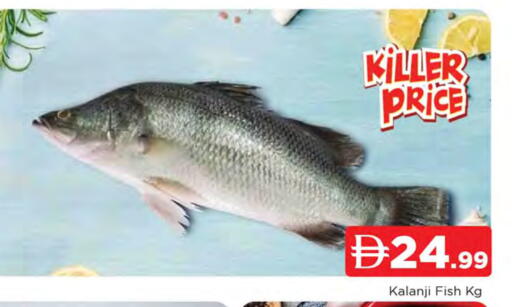 available at المدينة in الإمارات العربية المتحدة , الامارات - الشارقة / عجمان