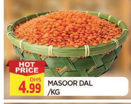 available at المدينة in الإمارات العربية المتحدة , الامارات - الشارقة / عجمان