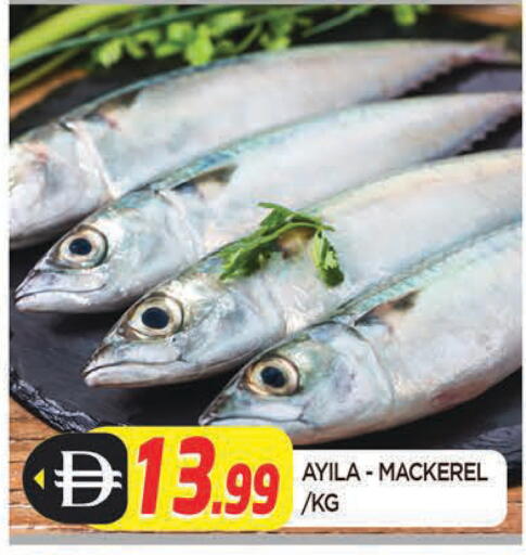 available at المدينة in الإمارات العربية المتحدة , الامارات - الشارقة / عجمان