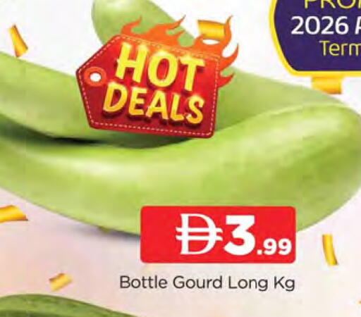 available at المدينة in الإمارات العربية المتحدة , الامارات - الشارقة / عجمان