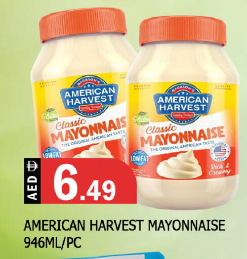 available at المدينة in الإمارات العربية المتحدة , الامارات - الشارقة / عجمان