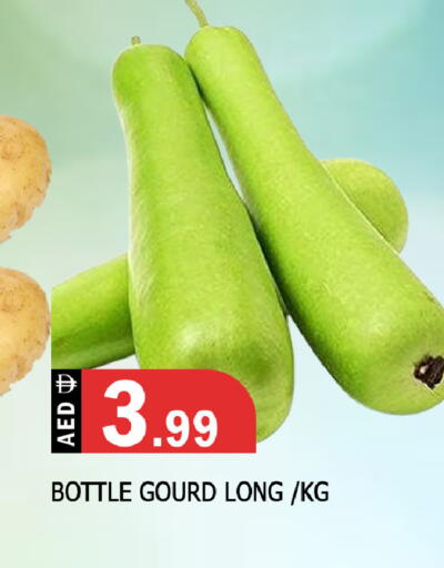 available at المدينة in الإمارات العربية المتحدة , الامارات - الشارقة / عجمان