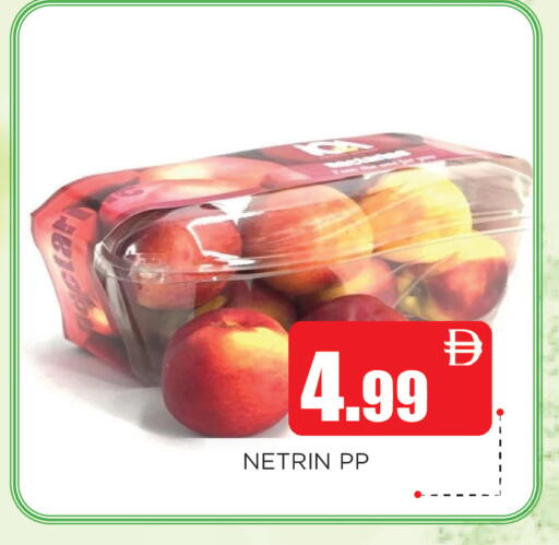 available at اينس المدينة هايبرماركت in الإمارات العربية المتحدة , الامارات - الشارقة / عجمان