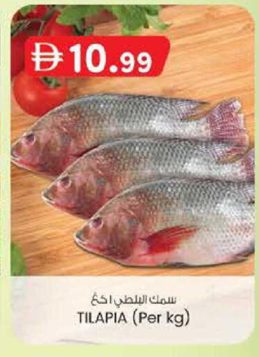 available at صفا اكسبريس سوبرماركت in الإمارات العربية المتحدة , الامارات - أبو ظبي