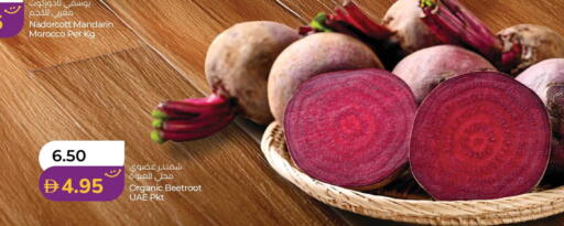 Mandarin Beetroot from Morocco available at لولو هايبرماركت in الإمارات العربية المتحدة , الامارات - أبو ظبي