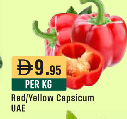Yellow Capsicum available at West Zone Supermarket in UAE - Sharjah / Ajman