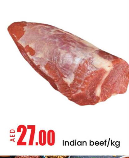 Mango available at مانجو هايبرماركت in الإمارات العربية المتحدة , الامارات - دبي