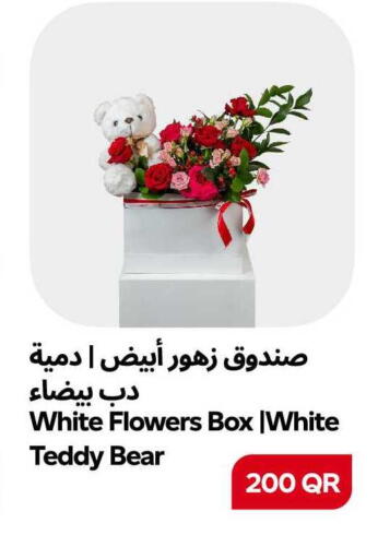 available at سنومارت in قطر - الشمال