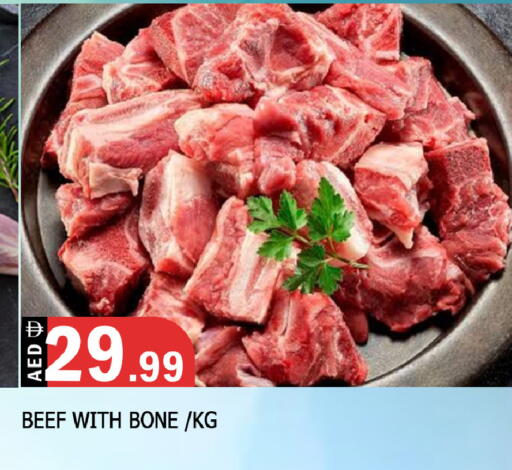 available at المدينة in الإمارات العربية المتحدة , الامارات - الشارقة / عجمان